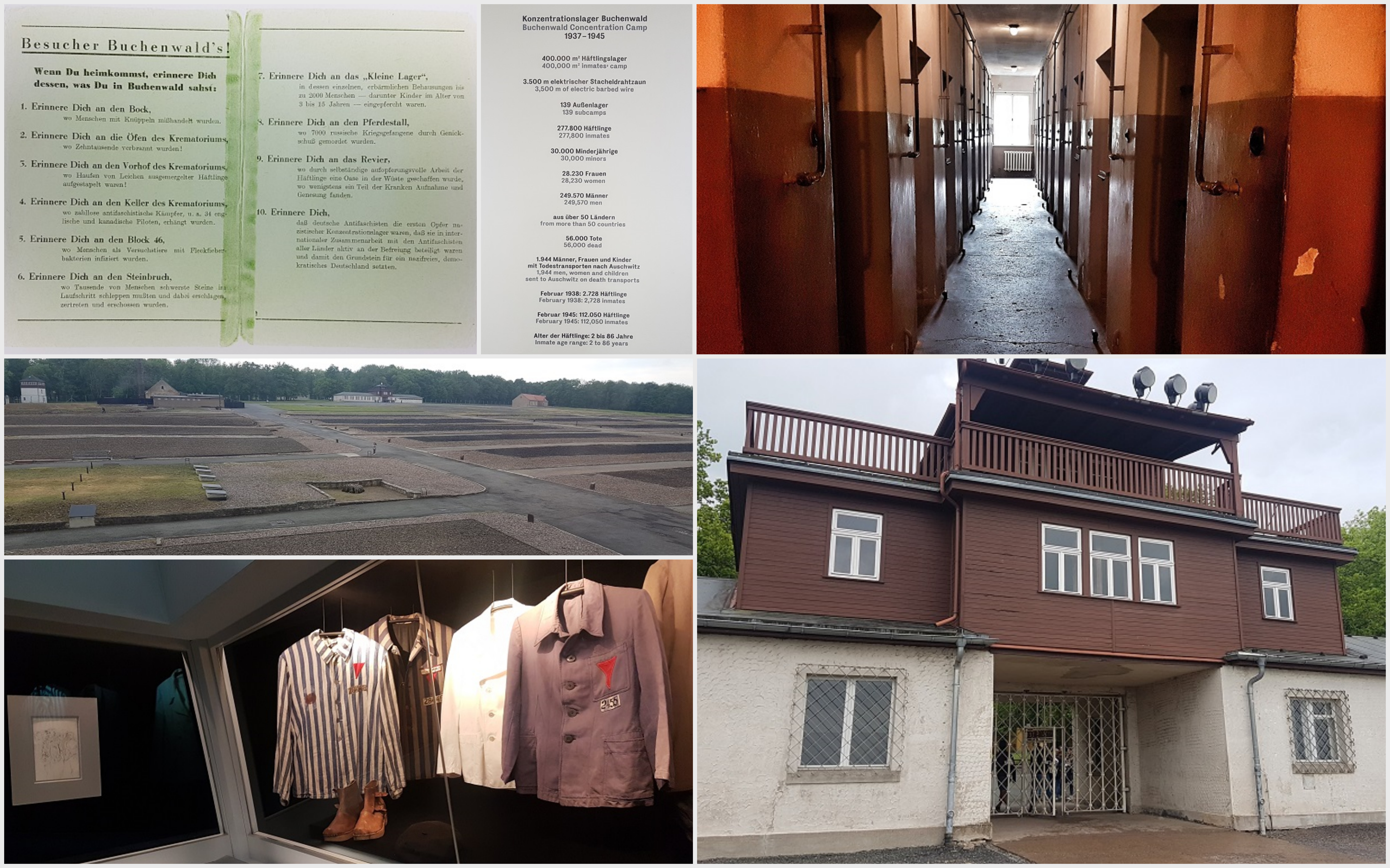 2018-Buchenwald